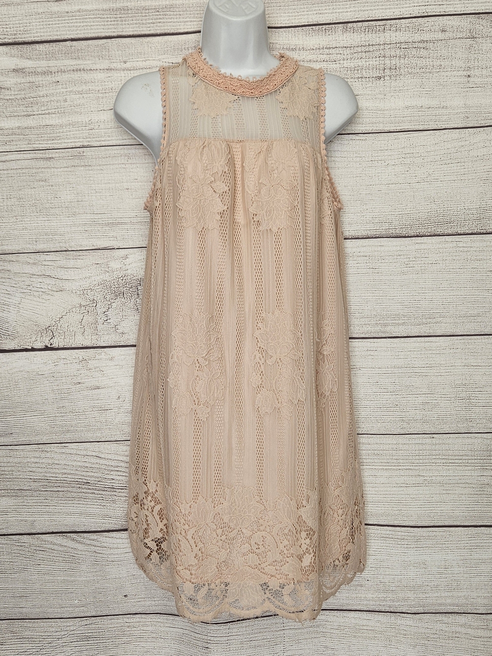 No Boundaries Lace Sleeveless Dress in Blush Pink